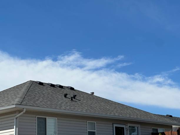 Best Steel Roofing  in Hanna City, IL